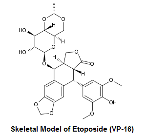 Etoposide (VP-16)